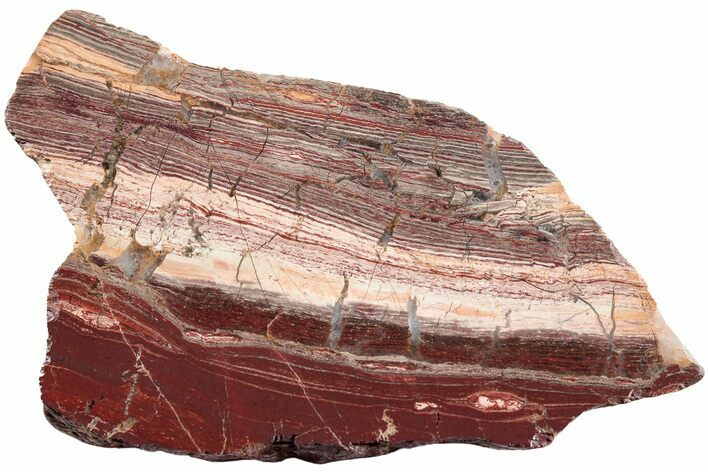 Polished Snakeskin Jasper Slab - Western Australia #221500